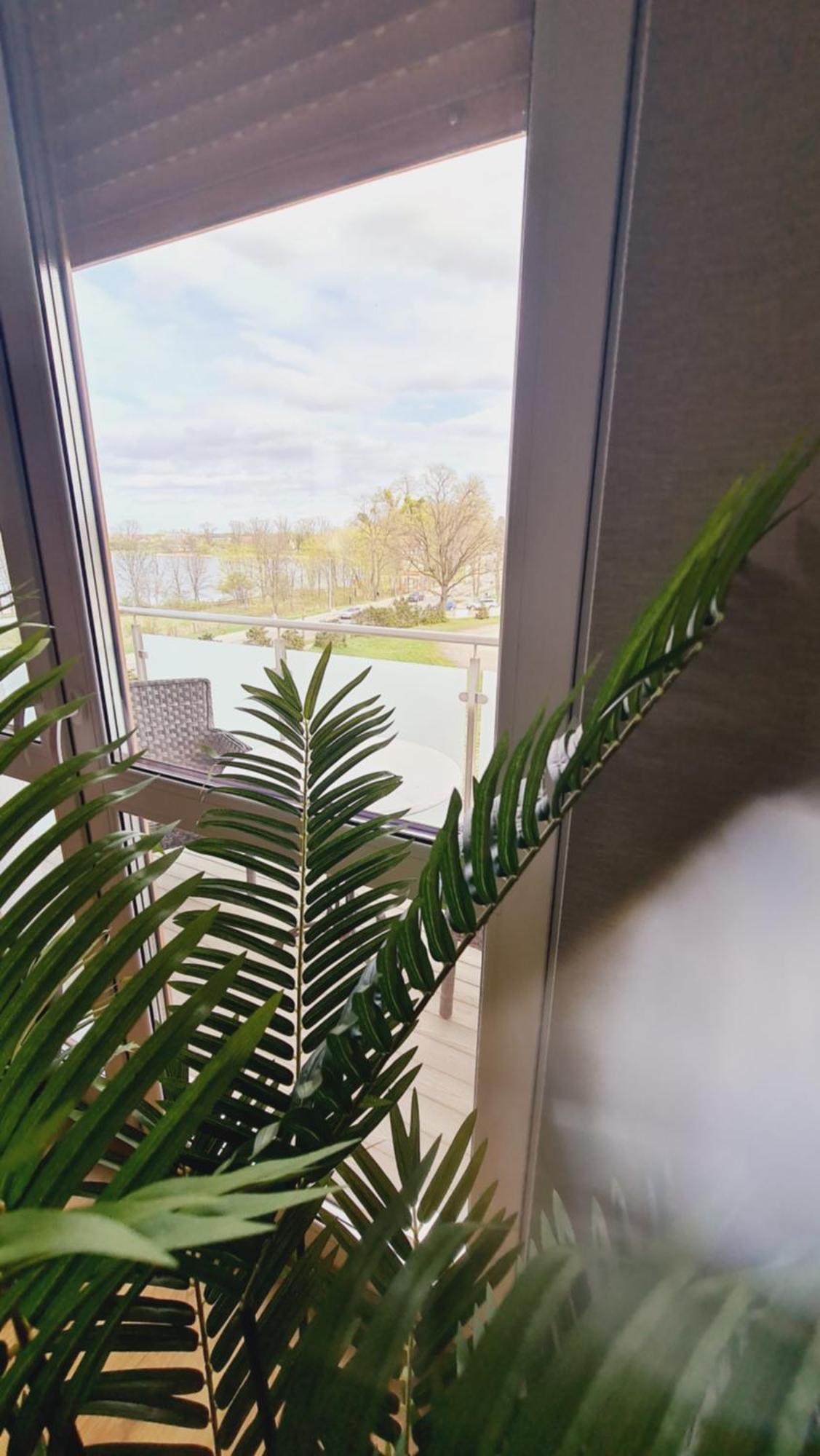 Apartament 31 Z Sauna Rowery, Spacery W Dolinie Baryczy - 5D Apartamenty Milicz Esterno foto